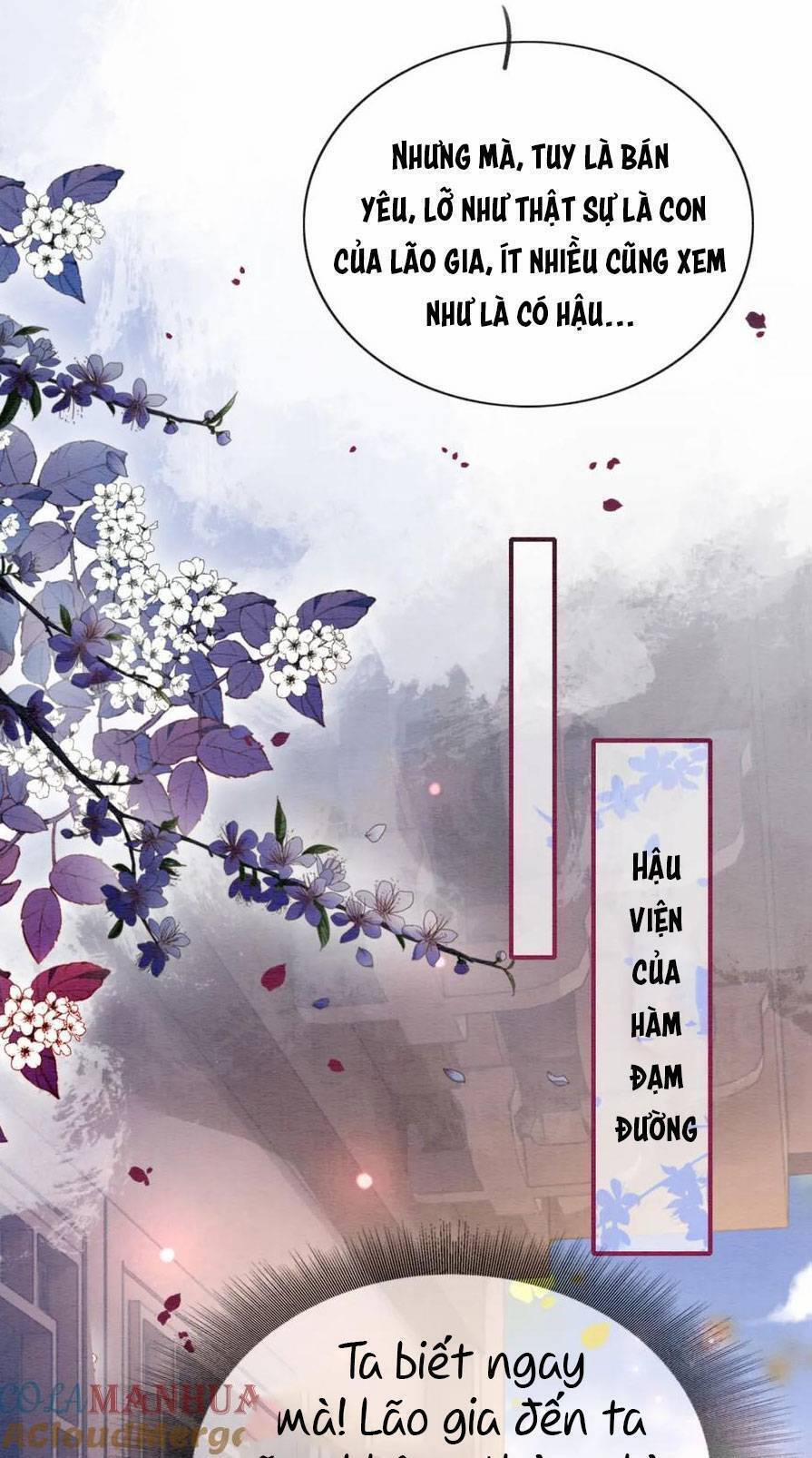 Sổ Tay Công Lược Của Hắc Liên Hoa 138 trang 5