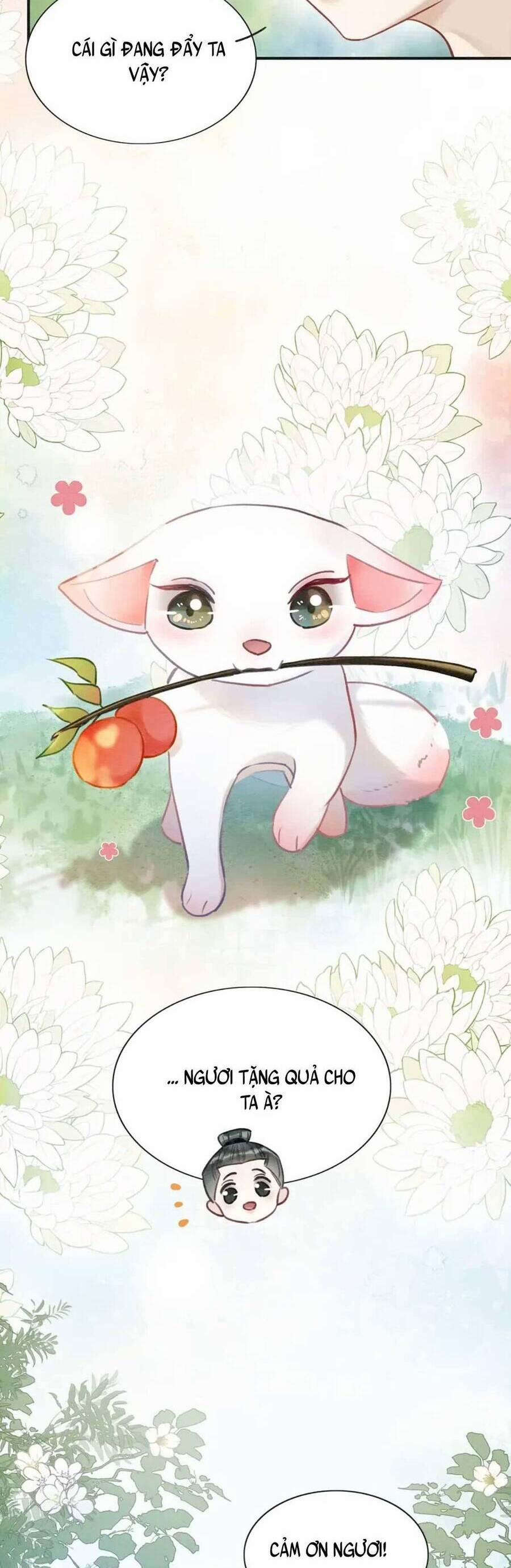 Sổ Tay Công Lược Của Hắc Liên Hoa 94 trang 30