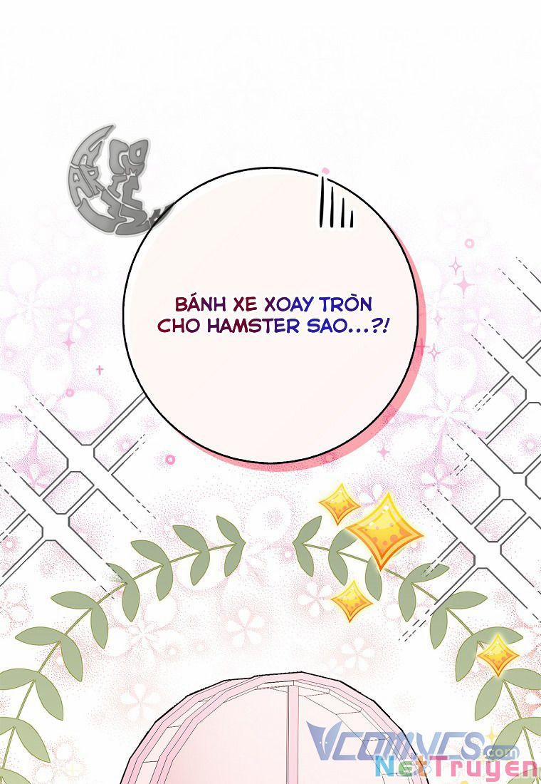 Sóc Nhỏ Tài Năng 11 trang 15