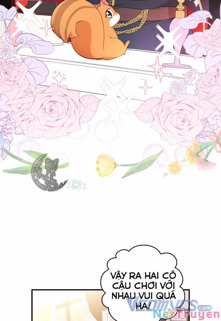 Sóc Nhỏ Tài Năng 11 trang 34