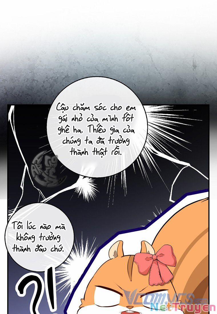 Sóc Nhỏ Tài Năng 11 trang 36