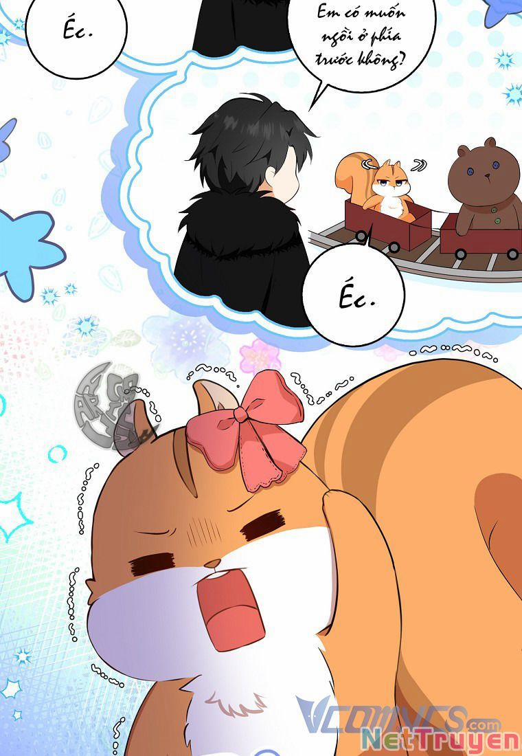 Sóc Nhỏ Tài Năng 11 trang 40