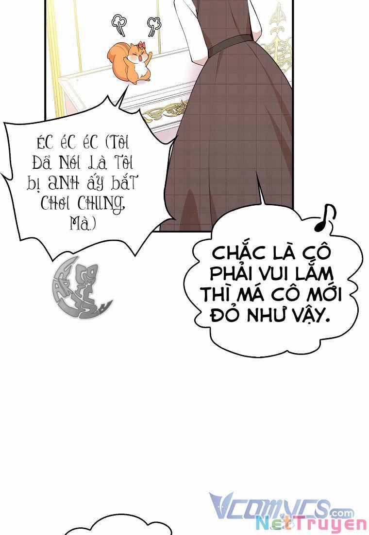 Sóc Nhỏ Tài Năng 11 trang 42