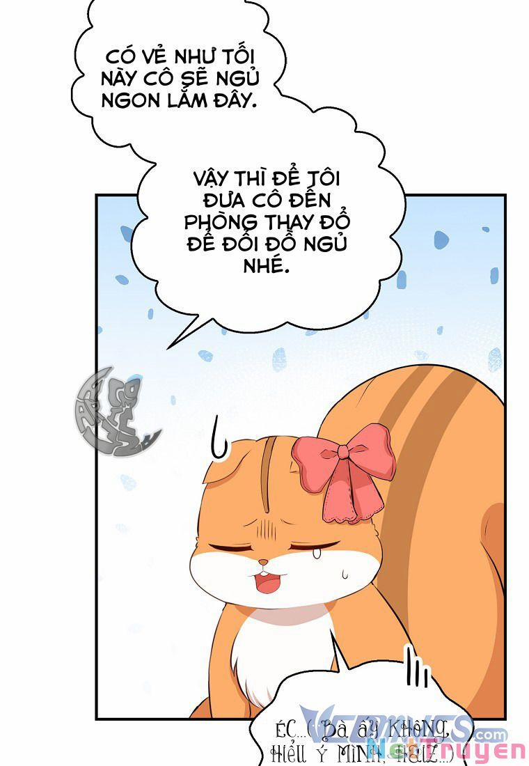 Sóc Nhỏ Tài Năng 11 trang 43