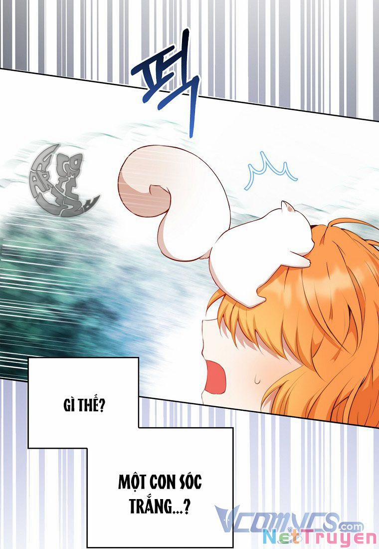 Sóc Nhỏ Tài Năng 12 trang 104