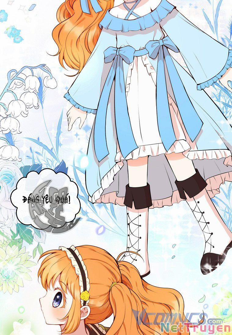 Sóc Nhỏ Tài Năng 12 trang 13