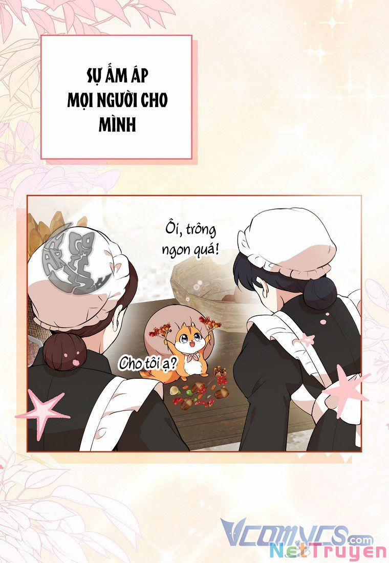 Sóc Nhỏ Tài Năng 12 trang 71