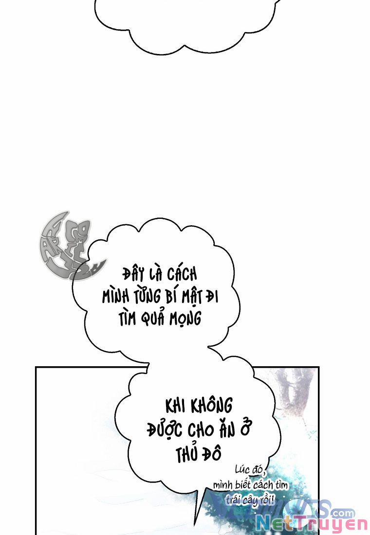 Sóc Nhỏ Tài Năng 12 trang 84