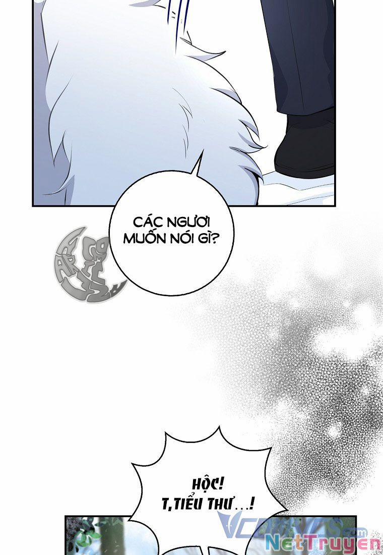 Sóc Nhỏ Tài Năng 13 trang 31