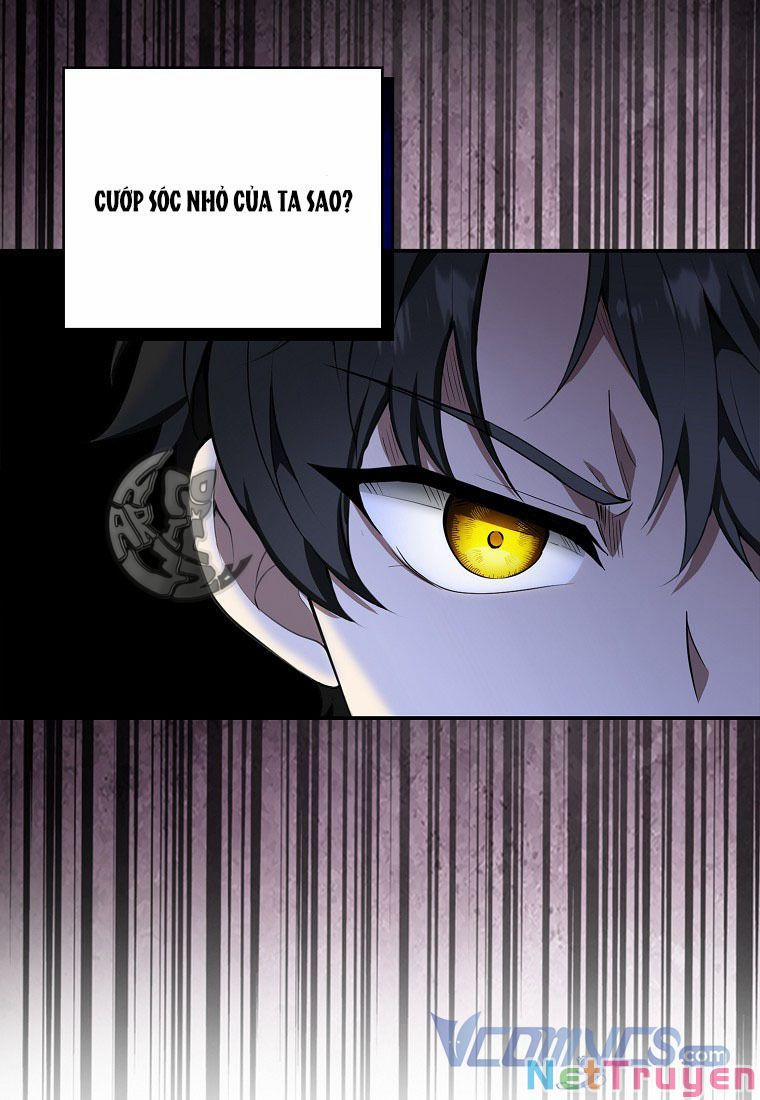 Sóc Nhỏ Tài Năng 13 trang 43