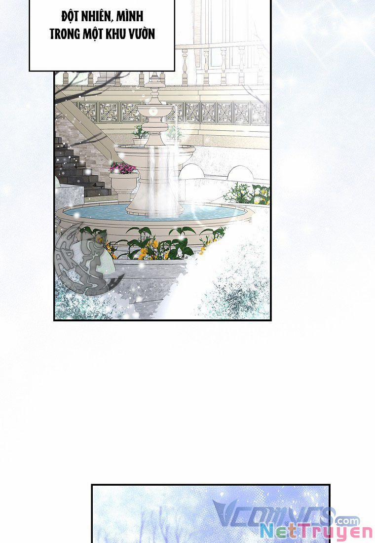 Sóc Nhỏ Tài Năng 13 trang 47