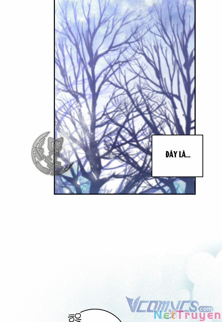 Sóc Nhỏ Tài Năng 13 trang 48