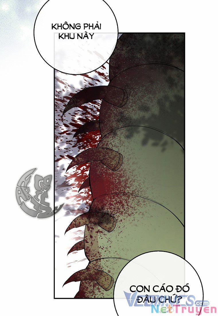 Sóc Nhỏ Tài Năng 13 trang 5