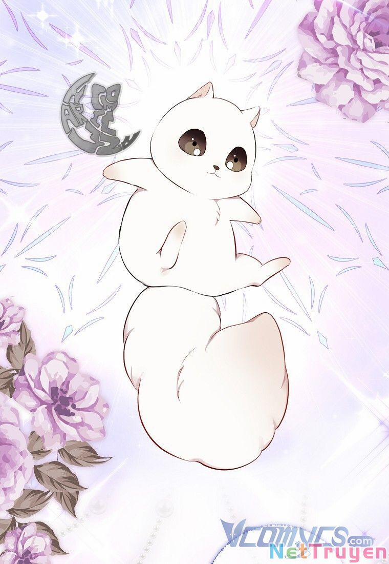 Sóc Nhỏ Tài Năng 13 trang 54