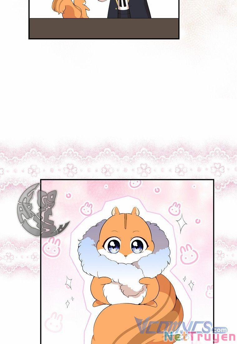 Sóc Nhỏ Tài Năng 13 trang 7