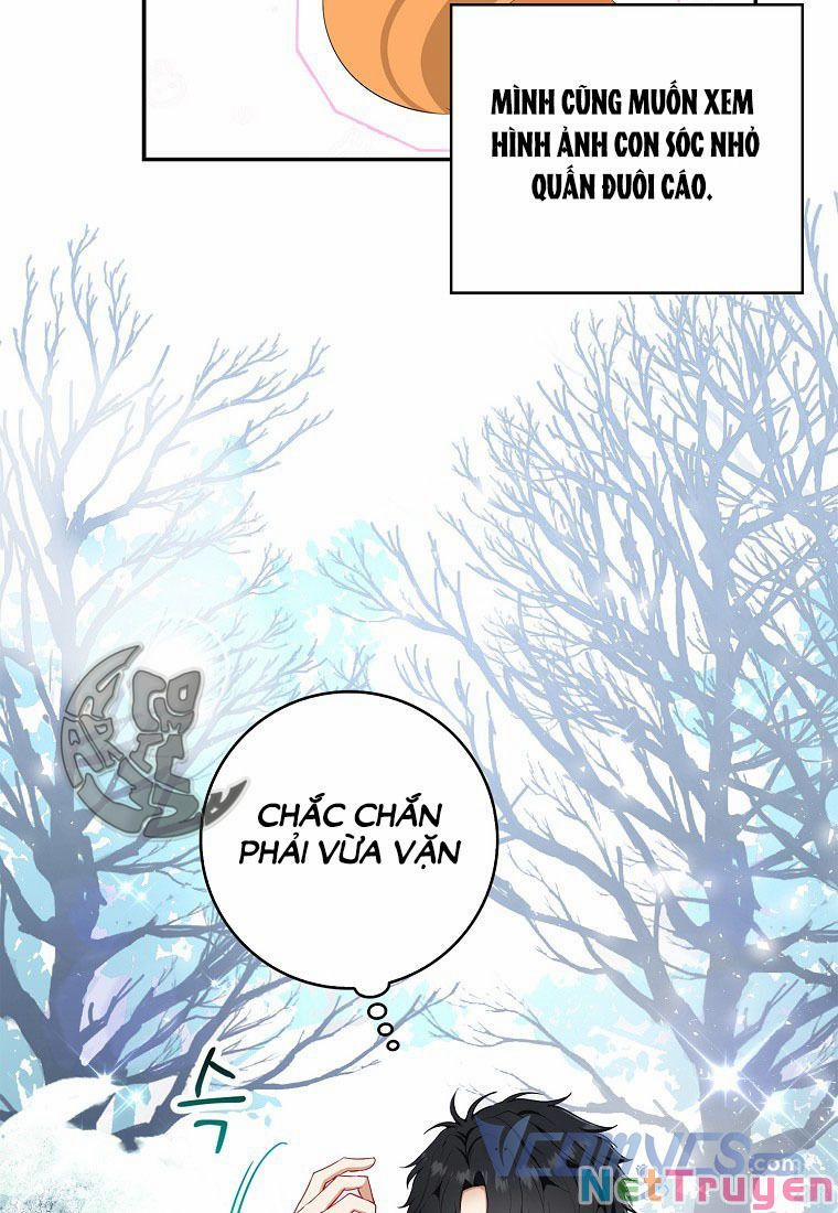 Sóc Nhỏ Tài Năng 13 trang 8