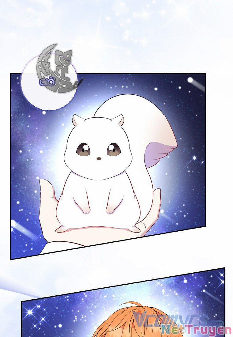 Sóc Nhỏ Tài Năng 13 trang 81