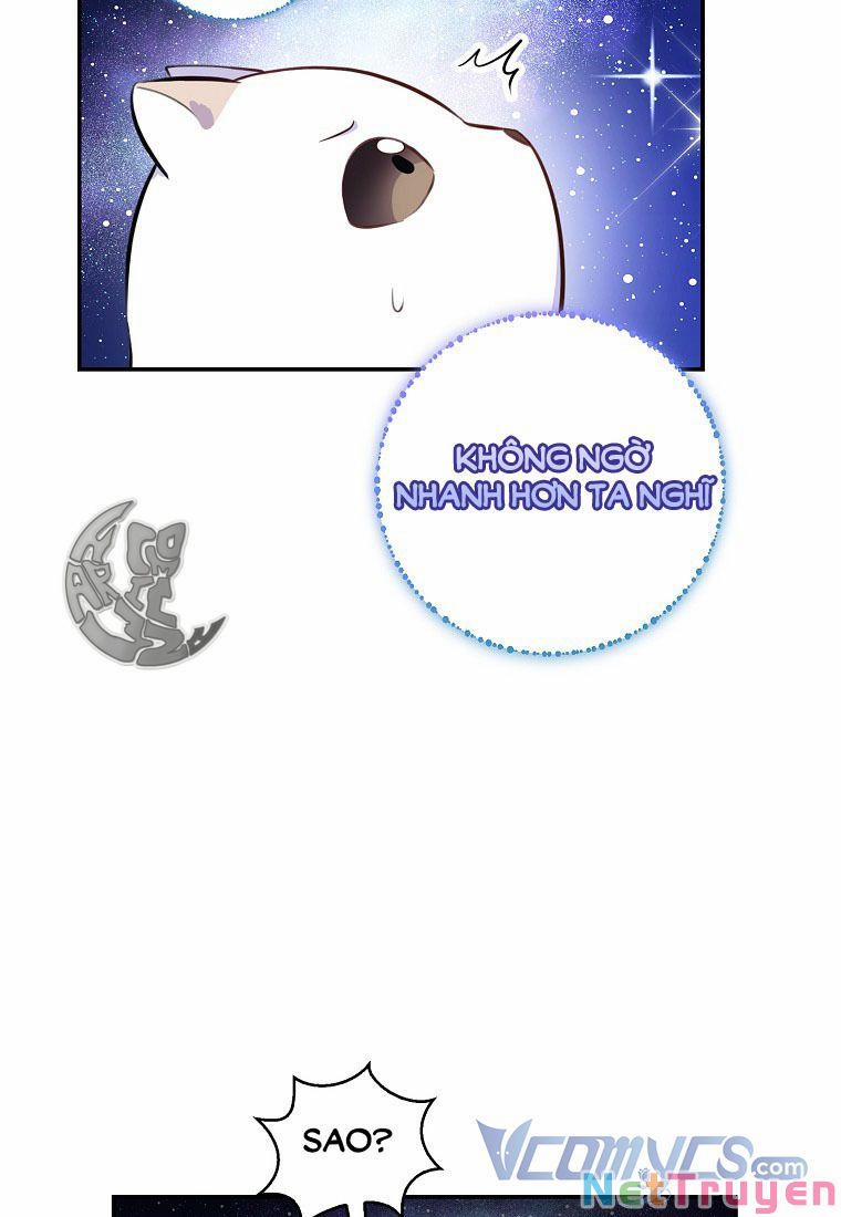 Sóc Nhỏ Tài Năng 13 trang 85