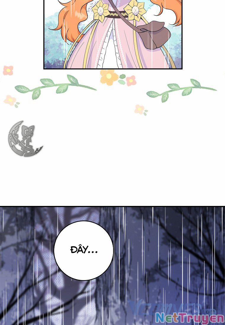 Sóc Nhỏ Tài Năng 14 trang 23