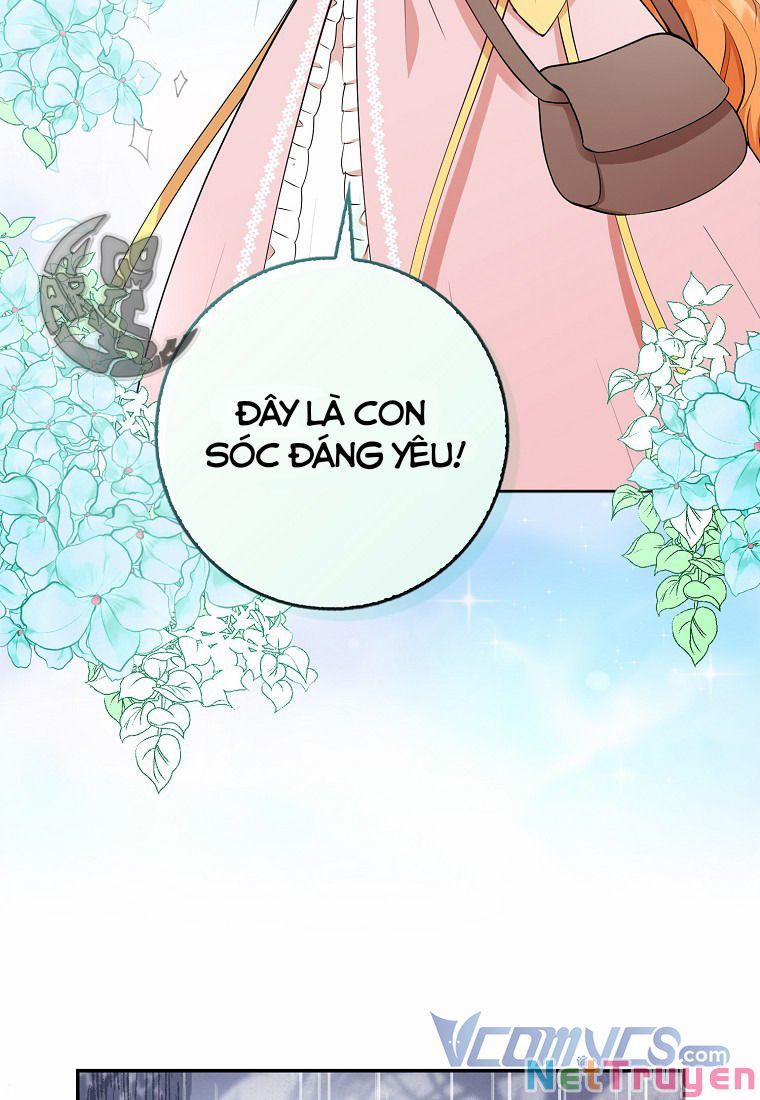 Sóc Nhỏ Tài Năng 14 trang 40