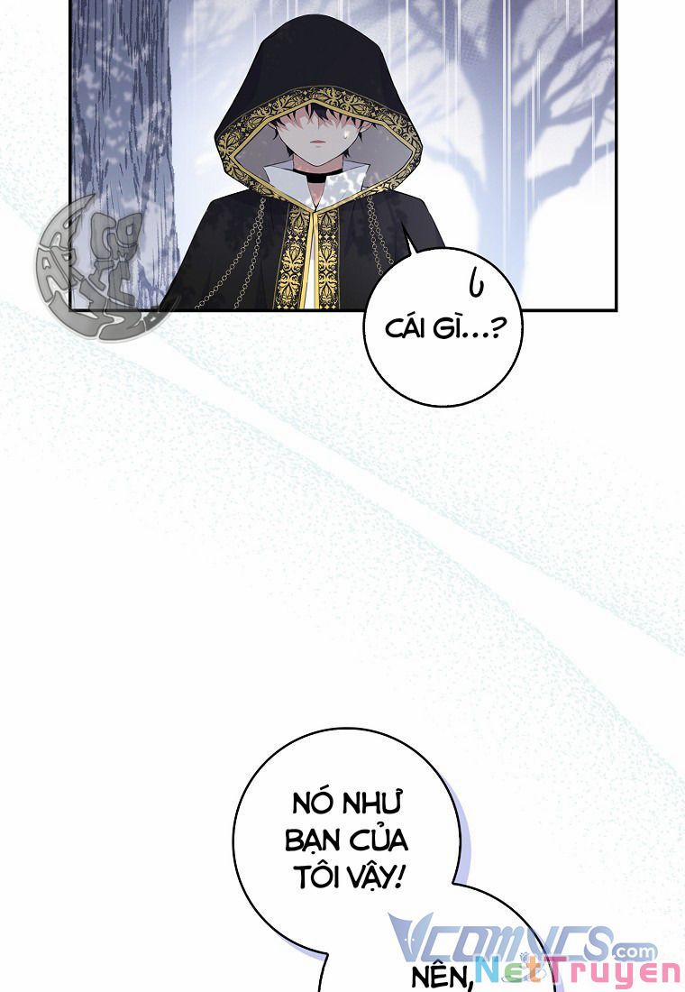 Sóc Nhỏ Tài Năng 14 trang 41