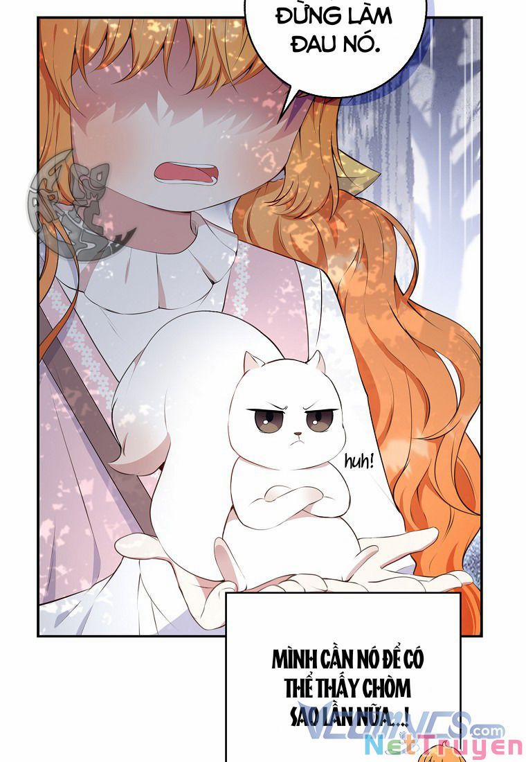 Sóc Nhỏ Tài Năng 14 trang 42