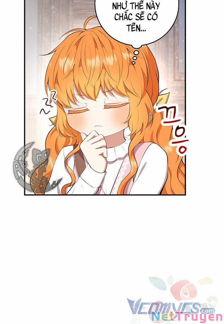 Sóc Nhỏ Tài Năng 15 trang 13