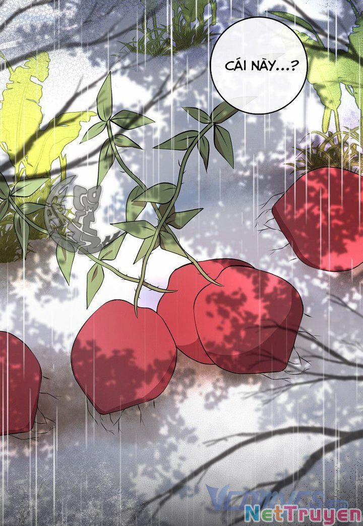 Sóc Nhỏ Tài Năng 15 trang 76