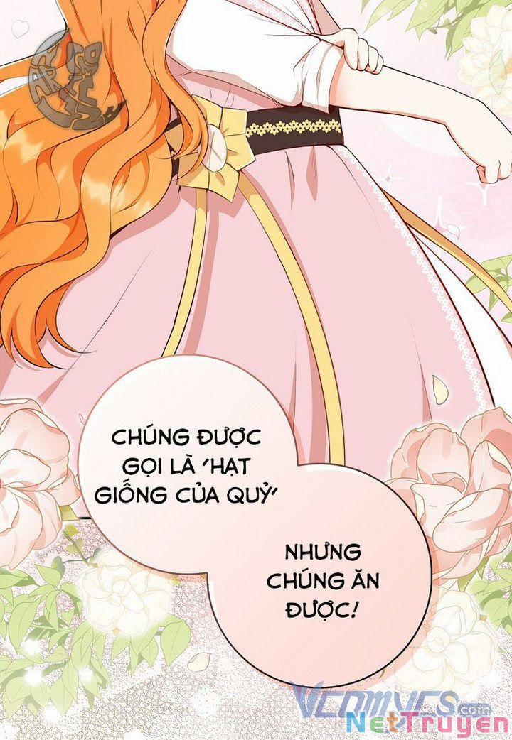 Sóc Nhỏ Tài Năng 16 trang 16