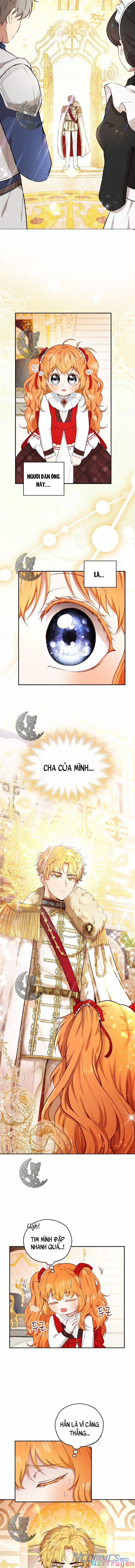 Sóc Nhỏ Tài Năng 17 trang 10