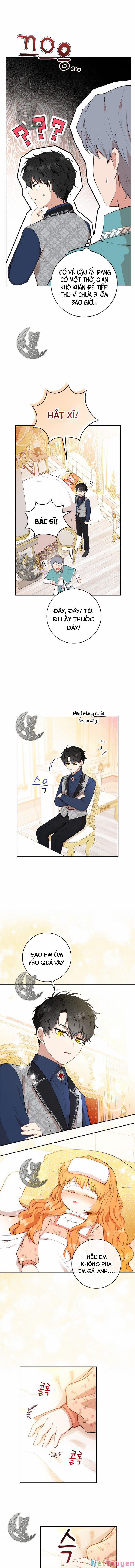 Sóc Nhỏ Tài Năng 17 trang 2