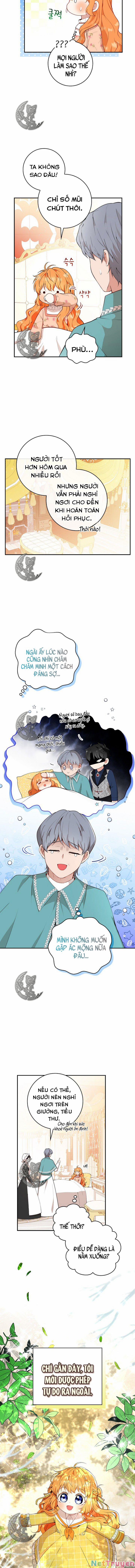 Sóc Nhỏ Tài Năng 17 trang 4