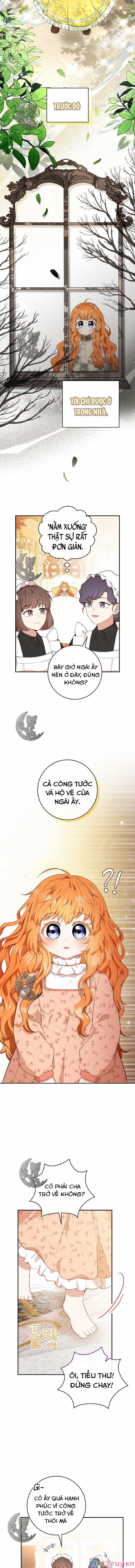 Sóc Nhỏ Tài Năng 17 trang 5