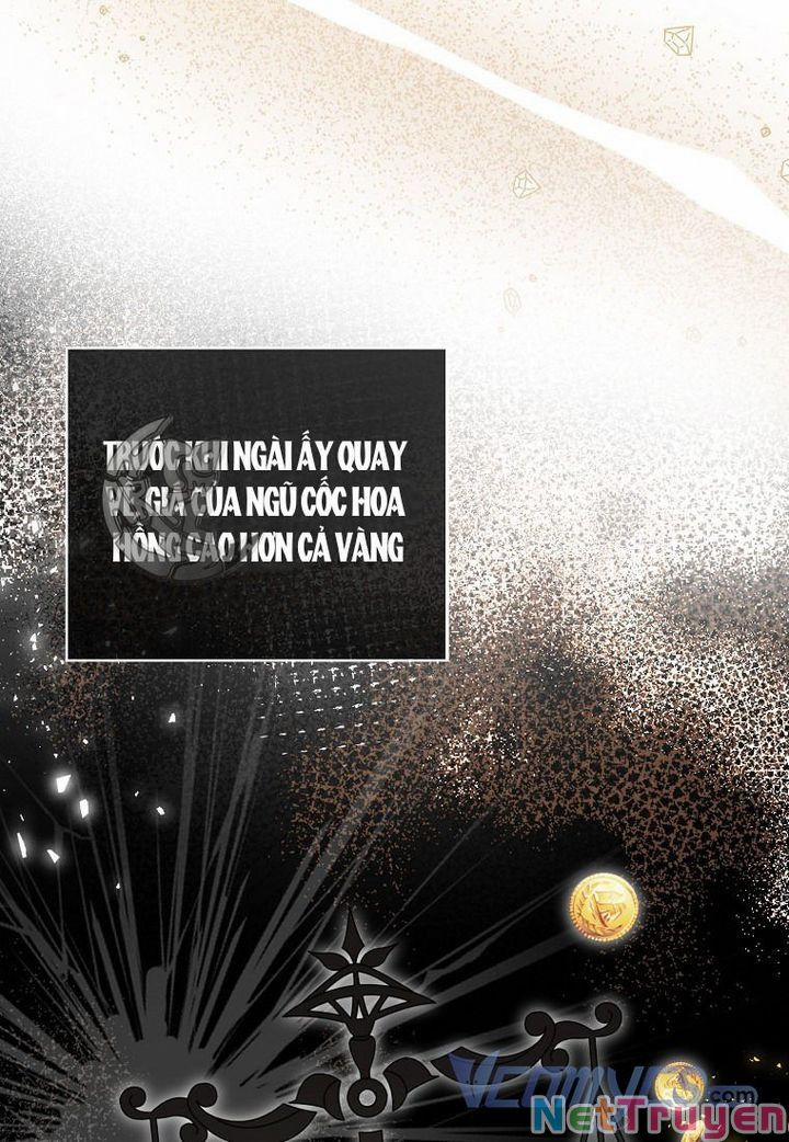 Sóc Nhỏ Tài Năng 18 trang 104