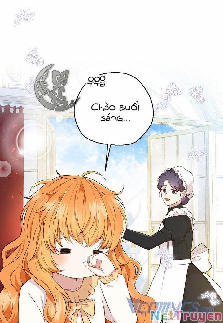 Sóc Nhỏ Tài Năng 21 trang 2