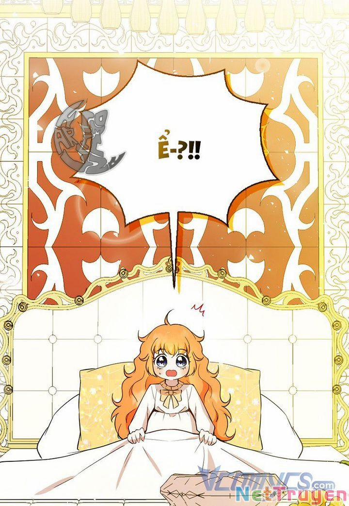 Sóc Nhỏ Tài Năng 21 trang 5