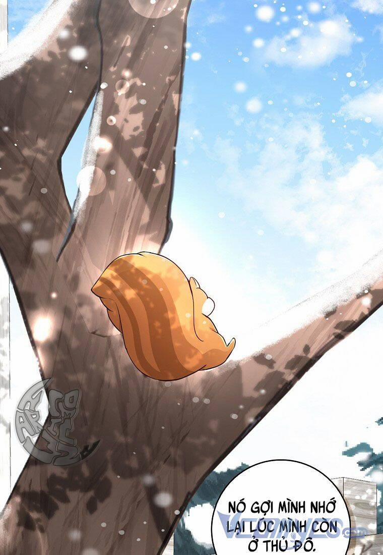 Sóc Nhỏ Tài Năng 22 trang 67