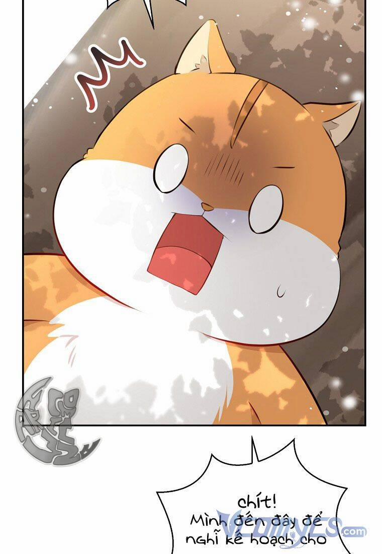 Sóc Nhỏ Tài Năng 22 trang 76