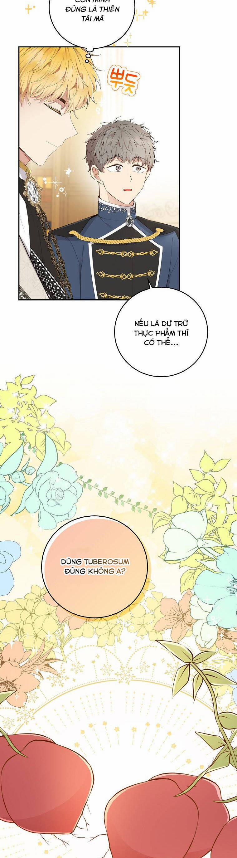 Sóc Nhỏ Tài Năng 26 trang 19