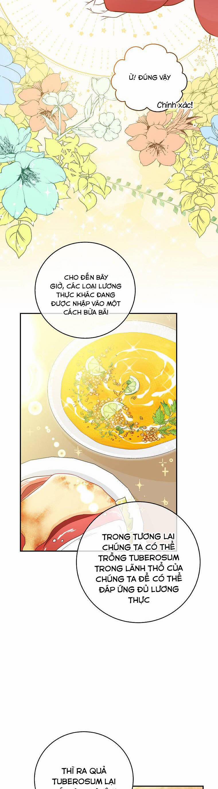 Sóc Nhỏ Tài Năng 26 trang 20