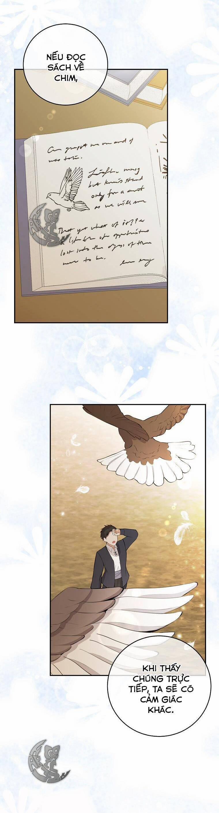 Sóc Nhỏ Tài Năng 27 trang 7