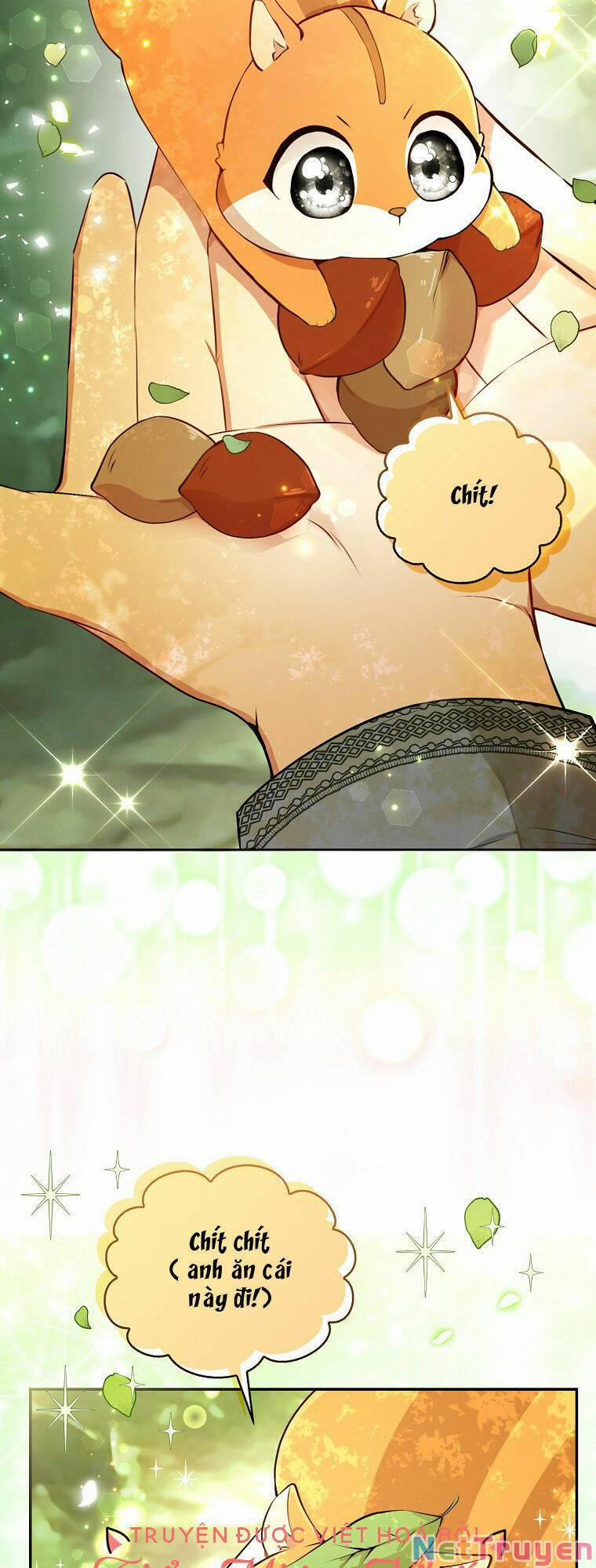 Sóc Nhỏ Tài Năng 29 trang 28