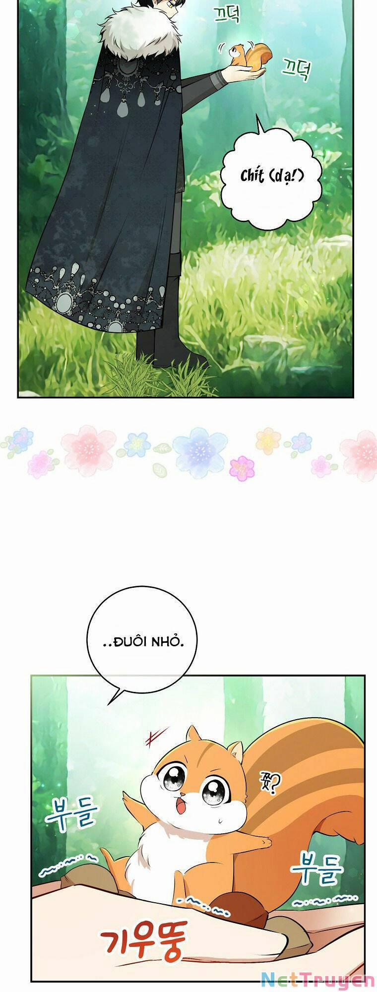 Sóc Nhỏ Tài Năng 29 trang 30