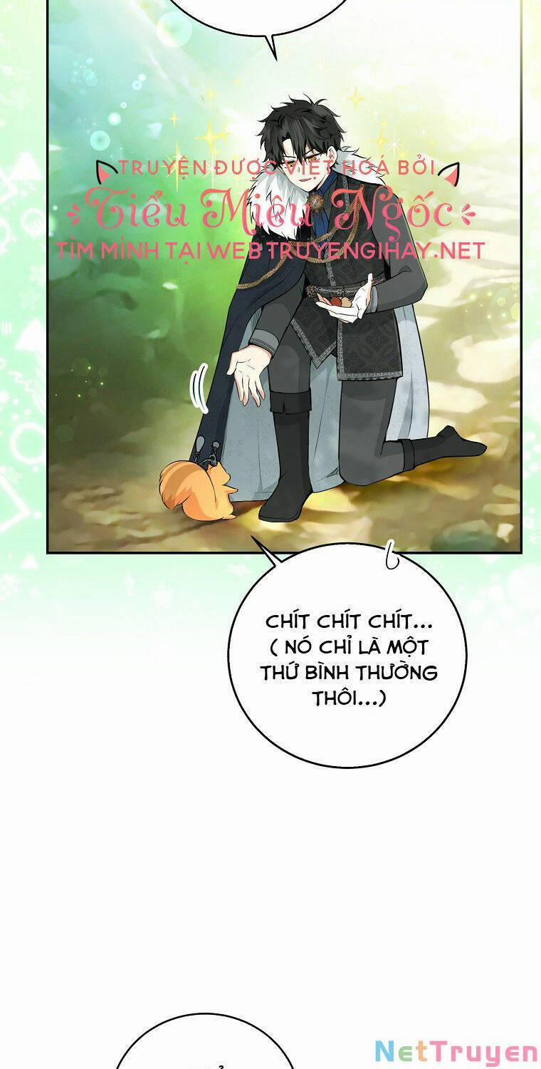 Sóc Nhỏ Tài Năng 29 trang 33