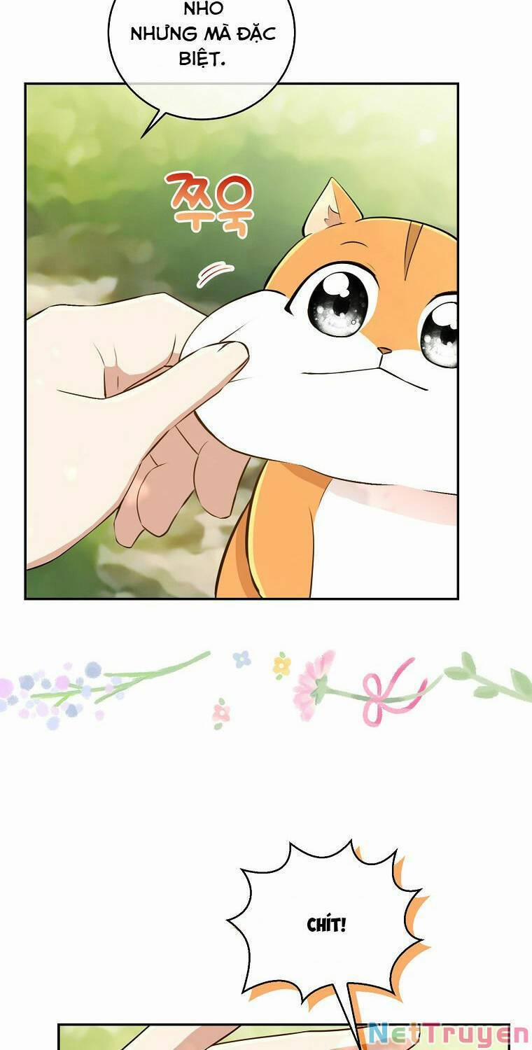 Sóc Nhỏ Tài Năng 29 trang 34