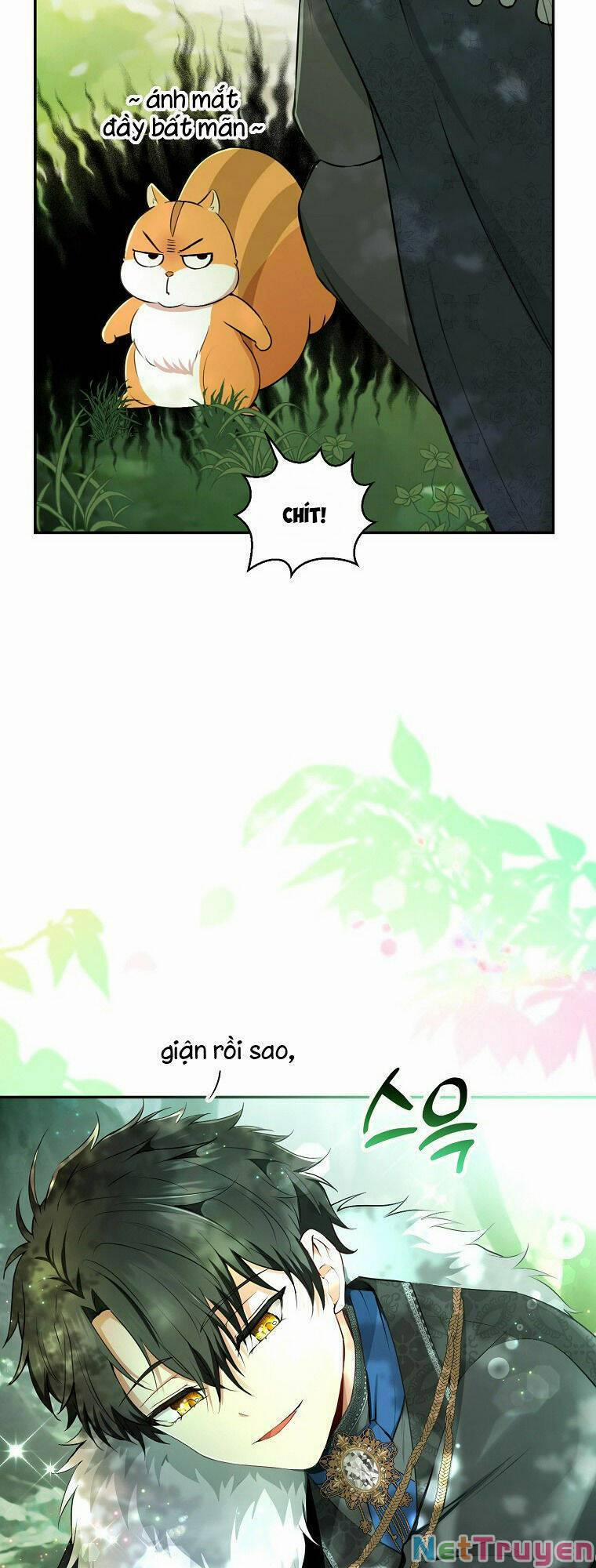 Sóc Nhỏ Tài Năng 29 trang 36