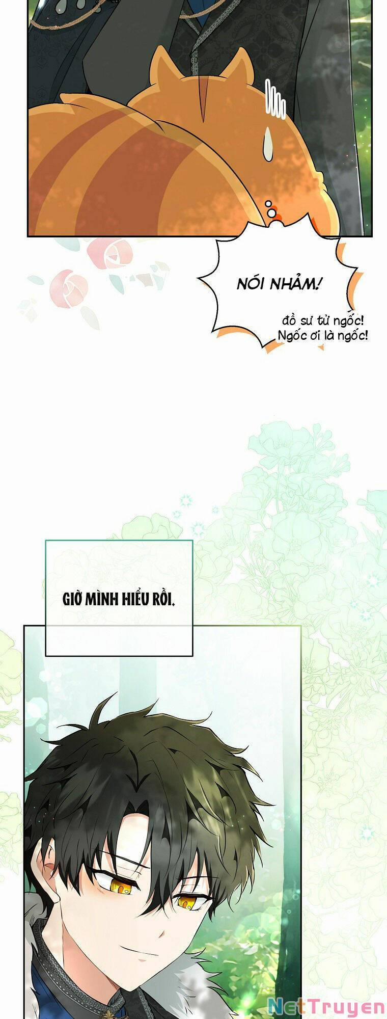 Sóc Nhỏ Tài Năng 29 trang 43