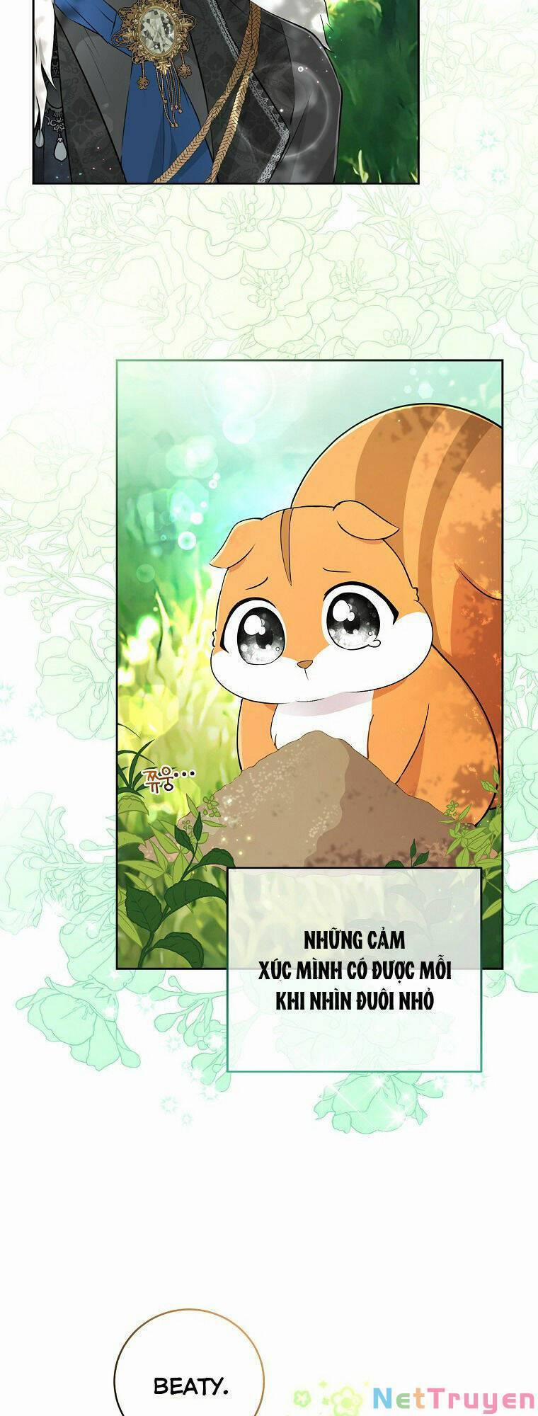 Sóc Nhỏ Tài Năng 29 trang 44