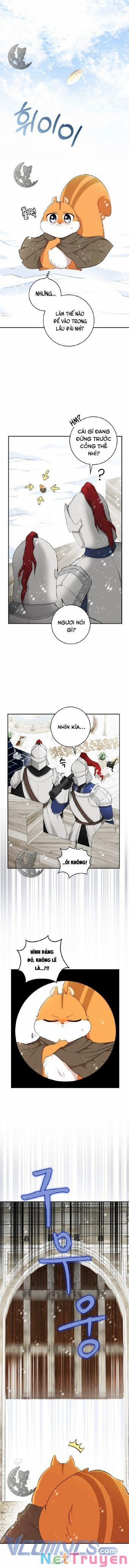 Sóc Nhỏ Tài Năng 3 trang 12