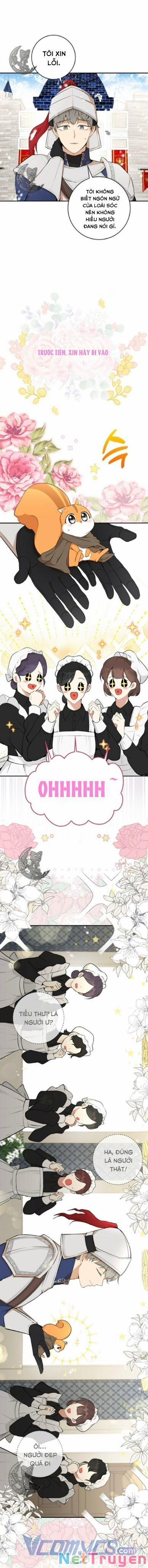 Sóc Nhỏ Tài Năng 3 trang 14